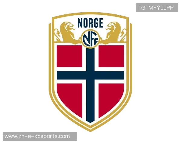 挪威足球队球星盘点与成就分析 各代传奇球员的影响力与贡献